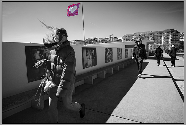 Exposition Homo artifex Leica Store Genève, denis ponté